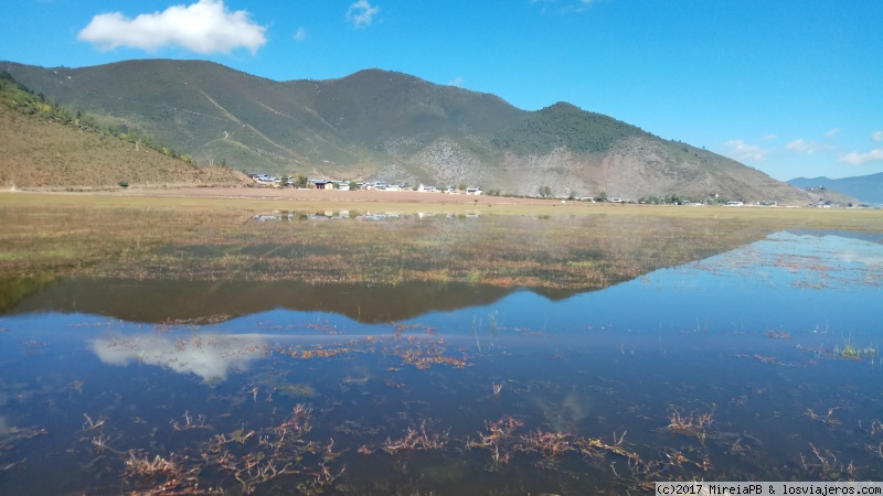 Reflejos