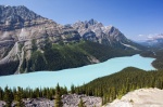 Lago Peyto