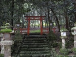 Nara_Kasuga Taisha_3