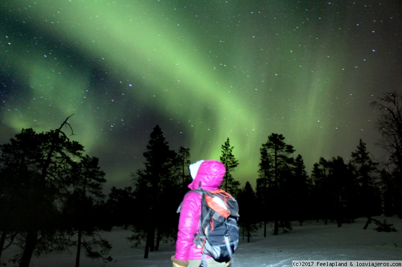 Aurora boreal desde el mirador Santasvaara