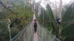 Canopy en la selva