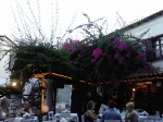 Taverna Mouria