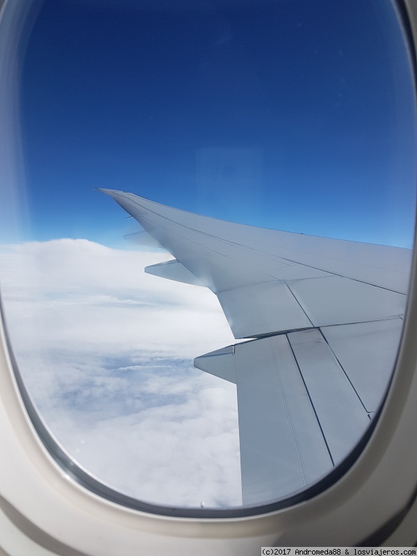 volando voy