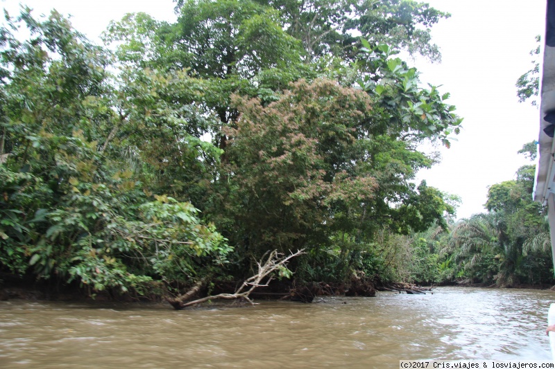 Tortuguero