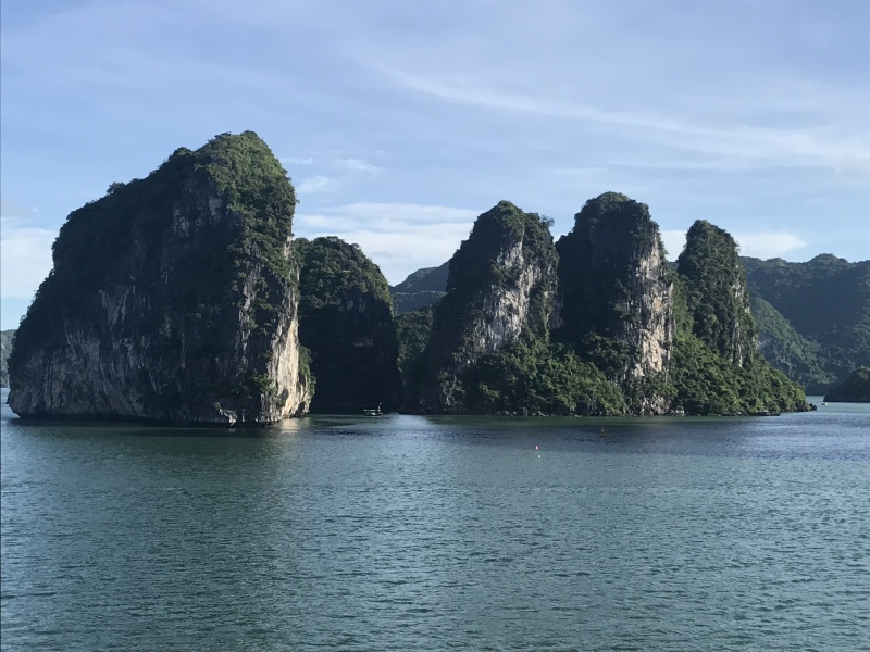 Bahiha de halong en vietnam