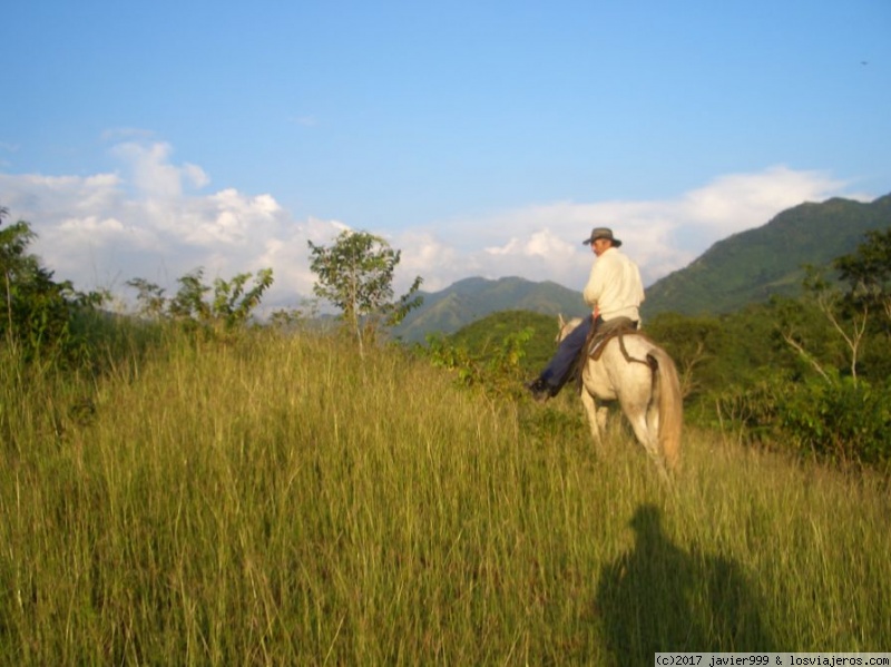 el capataz de la finca entre el pasto