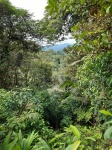 tirolinas en el Rainforest de Braulio Carrillo
