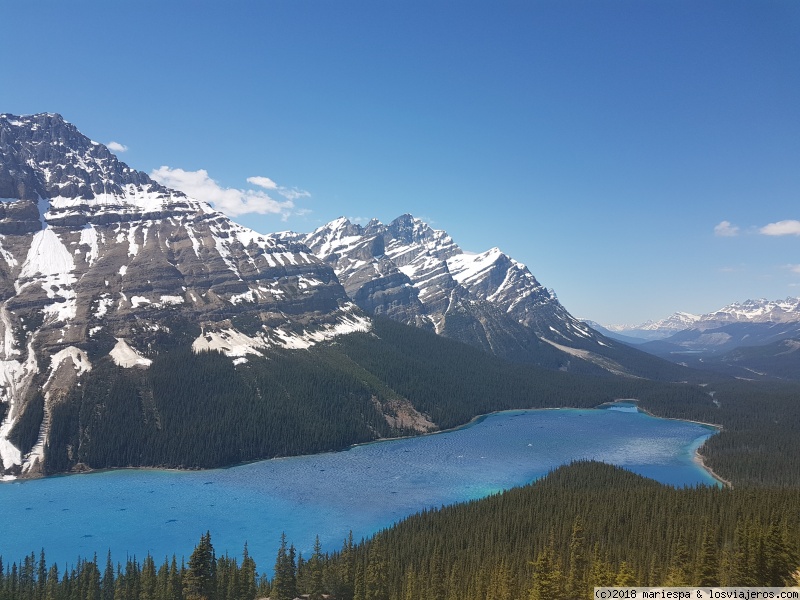 Peyto lake