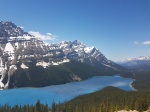Peyto lake