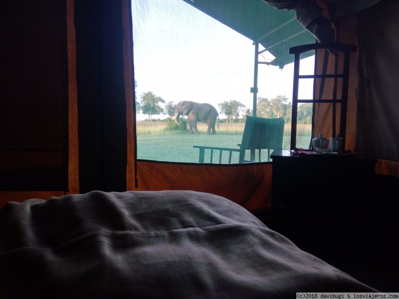 Luxury Accommodation in the Masai Mara
