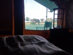 Luxury Accommodation in the Masai Mara