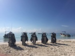 entes del buceo