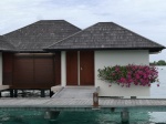 Nuestro rincón