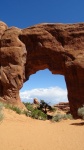 Pine tree  Arch, Arches , Utah