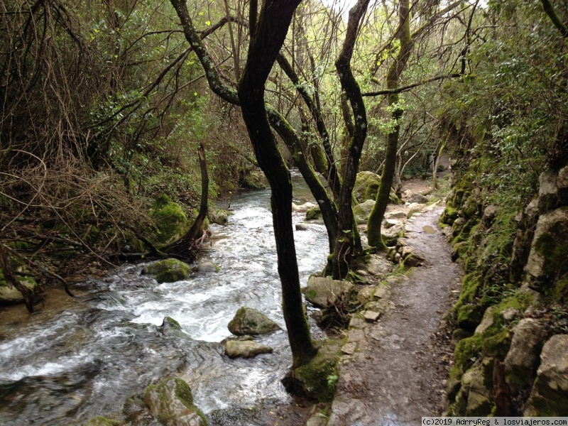 Río Majaceite (El Bosque,Cádiz) España