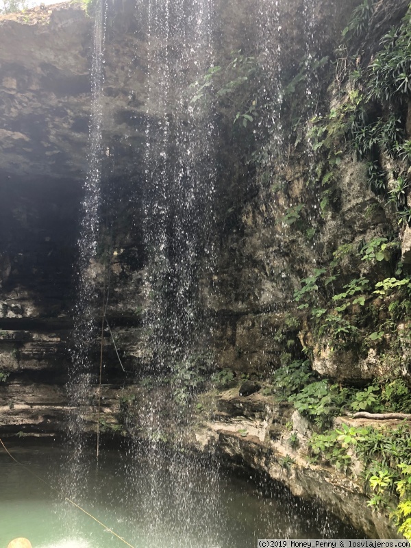 Cenote Saamal - Selva Maya - Valladolid