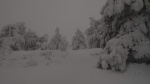 NIEVE 2018 VALLA DE ARÁN