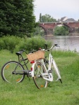 Trier - Bicycles by the Mosel