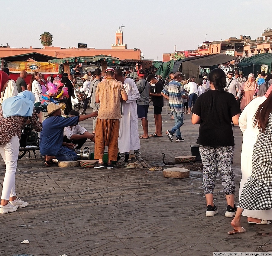 Plaza Jemaa con serpientes
