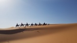 Erg Chebbi, Merzouga