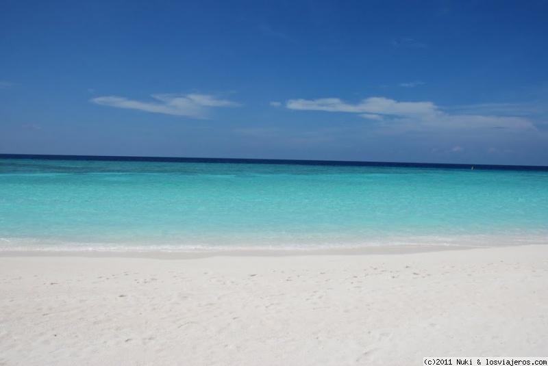 Playita