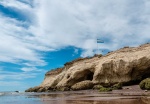 Península Valdes - Chubut