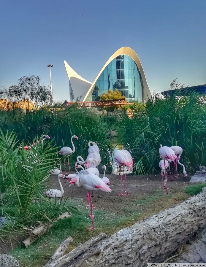 Oceanogràfic Valencia