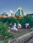 Oceanogràfic Valencia
