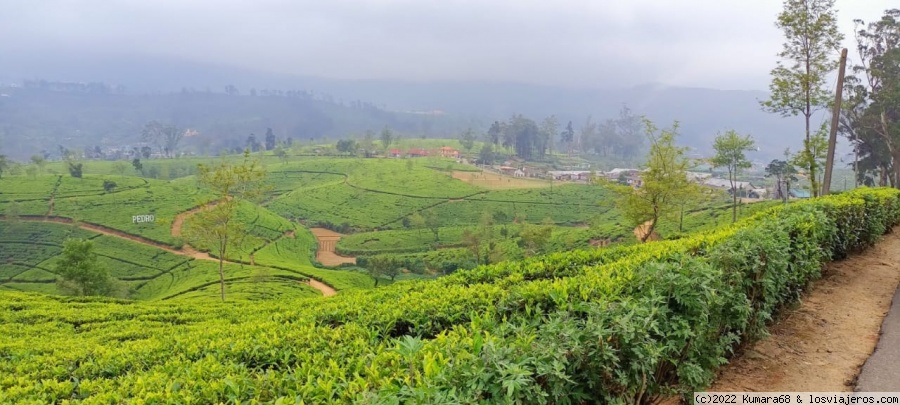 Little England - Nuwara Eliya