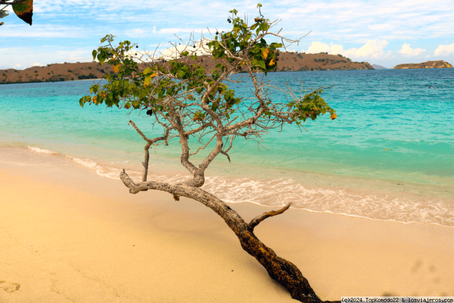 Playa Rosa en el Parque National de Komodo