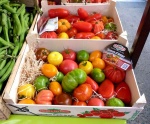 Tomates en el mercado de La Rochelle