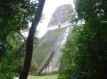 TIKAL