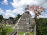 TIKAL