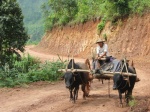 KALAW