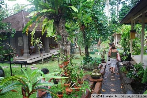 Ketut Liber house Comer rezar amar