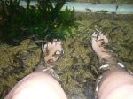Fish Spa en Kuala Lumpur