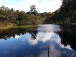Mirror Lake Wilkie