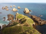 Nugget Point - Catlins