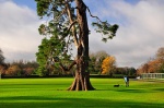 jardines de Malahide
