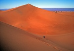 chungking bajando una duna de Erg Chigaga en M'hamid Marruecos