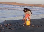 niña recogiendo conchas en la playa de Valizas