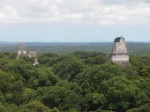 Tikal vista