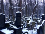 Warsaw Jewish Cemetery