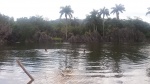 Laguna de las Piedras