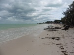 Cayo Jutías