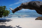 Playa de Seychelles