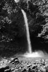 Cascada La Fortuna