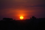 Puesta de sol en Kenia