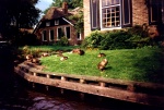 Giethoorn (Holanda)