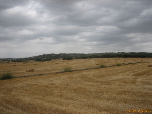 Campos de Santa Margalida - España
Santa Margalida's fields - Spain